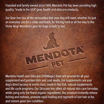 Mendota Slip Leash - Dog Lead & Collar Combo for Small Breeds