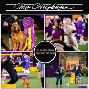 Chris Christensen Boar Dog Brush for Healthy, Shiny Coats