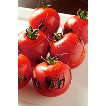 Iwatani Butane Torch Adjustable Culinary Kitchen Tool