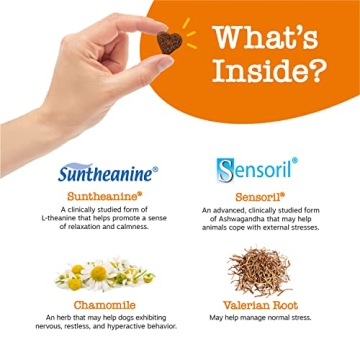 Zesty Paws Calming Chews for Relaxation & Stress Relief