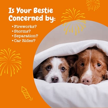 Zesty Paws Calming Chews for Relaxation & Stress Relief