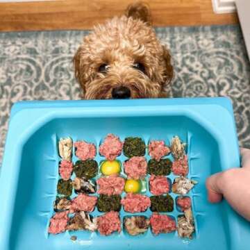 Fluff Trough Elevated Slow Feeder Bowl for Flat-Faced Pets