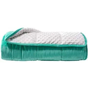 ALANSMA Reversible Weighted Blanket - Luxurious Velvet, All Season Comfort (Green, 60"x80", 15lbs)