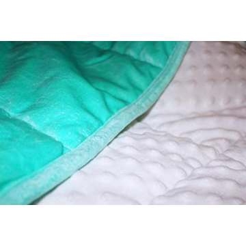 ALANSMA Reversible Weighted Blanket - Luxury Velvet Comfort