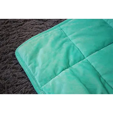 ALANSMA Reversible Weighted Blanket - Luxury Velvet Comfort