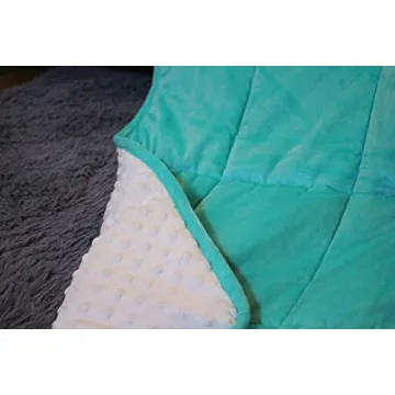 ALANSMA Reversible Weighted Blanket - Luxury Velvet Comfort