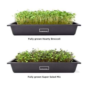 HAMAMA Microgreens Growing Kit - Sprouts Growing Kit, Sprouting Kit - Grow Microgreens Indoor, Microgreens Starter Kit with Microgreens Tray, Organic & Non-GMO Microgreen Seeds【Broccoli & Salad Seeds】