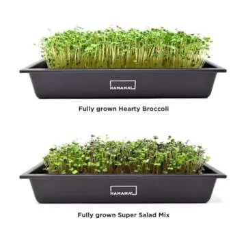 HAMAMA Microgreens Growing Kit - Sprouts Growing Kit, Sprouting Kit - Grow Microgreens Indoor, Microgreens Starter Kit with Microgreens Tray, Organic & Non-GMO Microgreen Seeds【Broccoli & Salad Seeds】