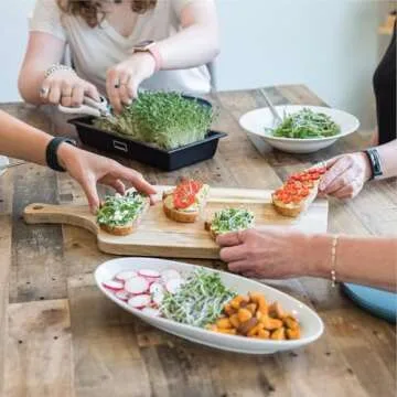 HAMAMA Microgreens Growing Kit - Sprouts Growing Kit, Sprouting Kit - Grow Microgreens Indoor, Microgreens Starter Kit with Microgreens Tray, Organic & Non-GMO Microgreen Seeds【Broccoli & Salad Seeds】