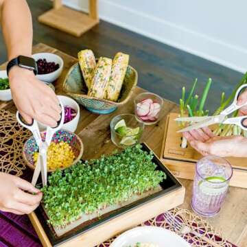 HAMAMA Microgreens Growing Kit - Sprouts Growing Kit, Sprouting Kit - Grow Microgreens Indoor, Microgreens Starter Kit with Microgreens Tray, Organic & Non-GMO Microgreen Seeds【Broccoli & Salad Seeds】