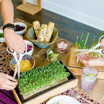 HAMAMA Microgreens Growing Kit - Sprouts Growing Kit, Sprouting Kit - Grow Microgreens Indoor, Microgreens Starter Kit with Microgreens Tray, Organic & Non-GMO Microgreen Seeds【Broccoli & Salad Seeds】