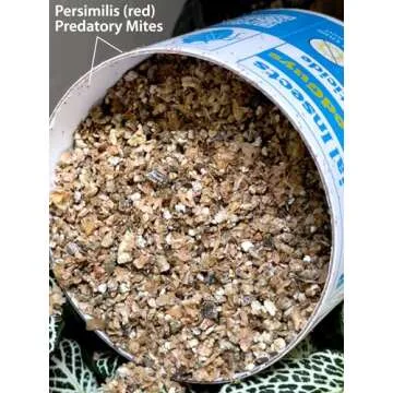 2,000 Live Adult Predatory Mites - A Mix of Predatory Mite Speciesl - Ships Next Business Day!l