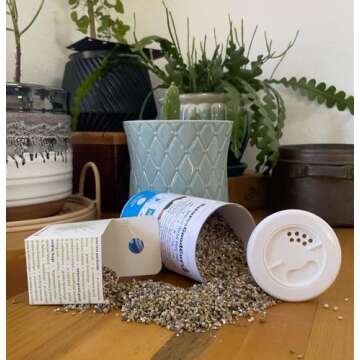 2,000 Live Adult Predatory Mites - A Mix of Predatory Mite Speciesl - Ships Next Business Day!l