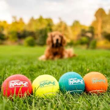 Outward Hound Squeaker Ballz Fetch Dog Toy, Large, 4-Pack for All Breed Sizes