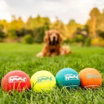 Outward Hound Squeaker Ballz Fetch Dog Toy, Large, 4-Pack for All Breed Sizes