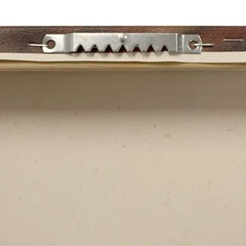 Trademark Fine Art 100 Dollars Wall Decor