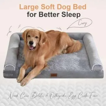 Large Dog Bed Orthopedic Washable: Beds Bolster XL Bed Large Big Dogs Memory Foam Couch Sofa Waterpr...