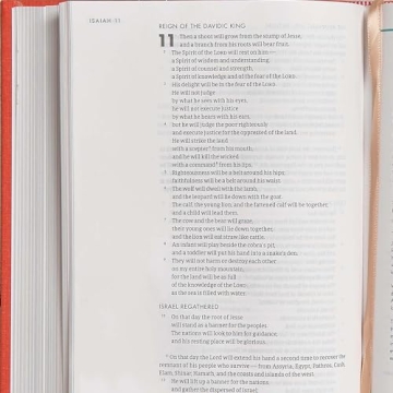 CSB She Reads Truth Bible - Colorful Design & Notetaking Space