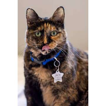 Custom Engraved Stainless Steel Pet ID Tags for Pets