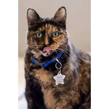 Custom Engraved Stainless Steel Pet ID Tags for Pets