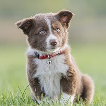 BigOtters Silver Jingle Bells for Festive Crafts 50 Pcs