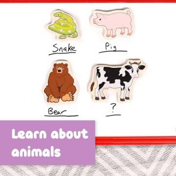 SPARK & WOW Wooden Magnets | Animals, Magnets for Kids Ages 2+ | Open-Ended Play | Adhere to Fridges, Whiteboards and More