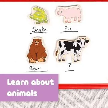 SPARK & WOW Wooden Magnets | Animals, Magnets for Kids Ages 2+ | Open-Ended Play | Adhere to Fridges, Whiteboards and More