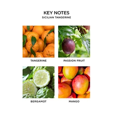 NEST New York Sicilian Tangerine Fragrance Refill, Set of 2