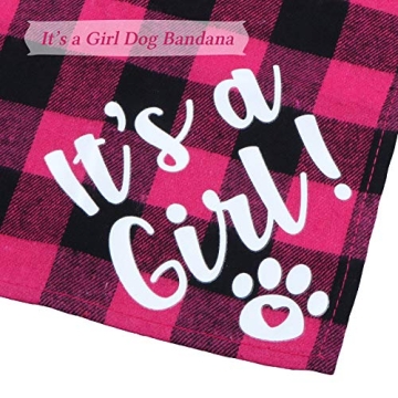 STMK Pregnancy Announcement Plaid Dog Bandana Set