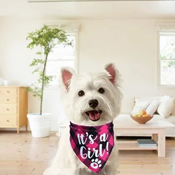 STMK Pregnancy Announcement Plaid Dog Bandana Set