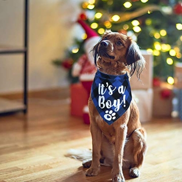 STMK Pregnancy Announcement Plaid Dog Bandana Set