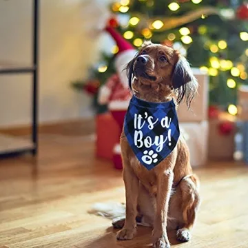 STMK Pregnancy Announcement Plaid Dog Bandana Set