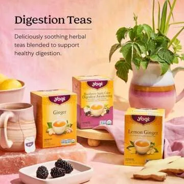 Yogi Tea Ginger Variety Sampler - 16 Bags per Pack (3 Packs) - Caffeine-Free, Organic Digestive Teas - Includes Ginger, Mango & Lemon Flavors