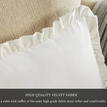 GIGIZAZA Luxury Velvet Pillow Covers Set of 2