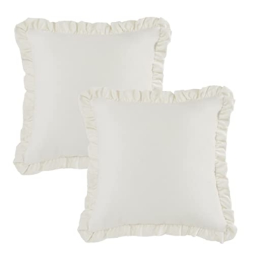 GIGIZAZA Luxury Velvet Pillow Covers Set of 2