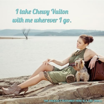 Runway Pup Collection Squeaky Couture Plush Dog Toys