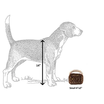 Runway Pup Collection Squeaky Couture Plush Dog Toys