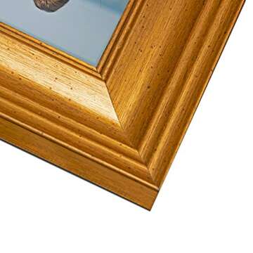 Elegant LaVie 6x6 Picture Frames Set for Home Decor
