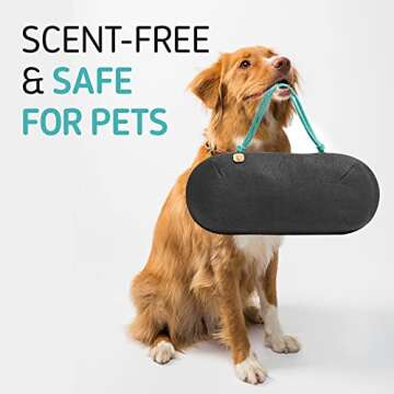 PURGGO Car Air Freshener - Lasts 365+ Days No Chemicals 100% Activated Bamboo Charcoal Fragrance-Free Deodorizer, Natural Auto Odor Eliminator, Purifier, Neutralizer, Absorb Smoke Smell