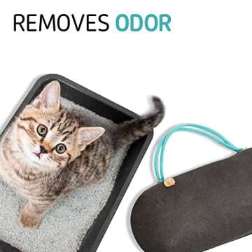 PURGGO Car Air Freshener - Lasts 365+ Days No Chemicals 100% Activated Bamboo Charcoal Fragrance-Free Deodorizer, Natural Auto Odor Eliminator, Purifier, Neutralizer, Absorb Smoke Smell