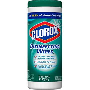 Clorox Disinfecting Wipes, Bleach Free Cleaning Wipes, Fresh Scent, 35 Count (Package May Vary)