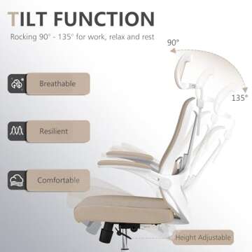Balmstar Ergonomic Office Chair with Lumbar Support