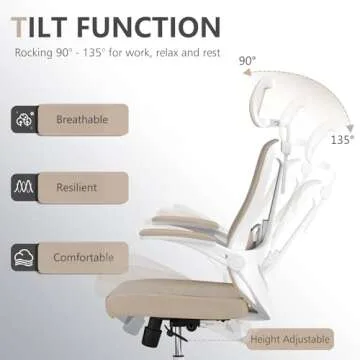 Balmstar Ergonomic Office Chair with Lumbar Support