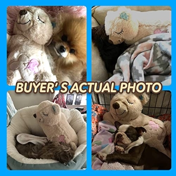 Cozy Heartbeat Plush Toy with Warming Pack for Puppies