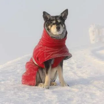 Hurtta Extreme-Warmer 2, Winter Dog Coat, Lingon, 16 in