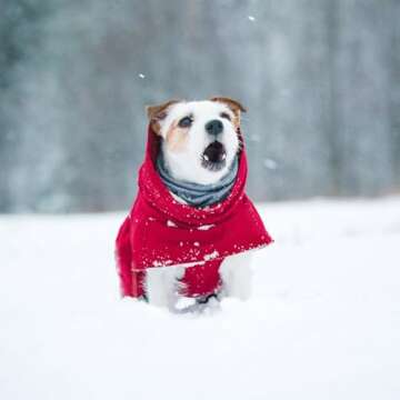 Hurtta Extreme-Warmer 2, Winter Dog Coat, Lingon, 16 in