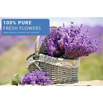 16 Bags Dried Flowers for Soap Making, Dried Flowers for Candle Making, Soap Flowers and Dried Herbs for Candle Oil, Bath Bombs. Essential Fragrant – The Best Variety of Grade A Flowers