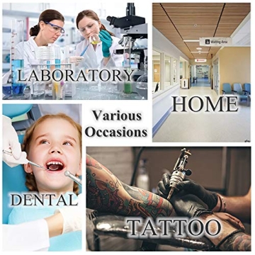 Durable 3 Pack Stainless Steel Trays for Any Use