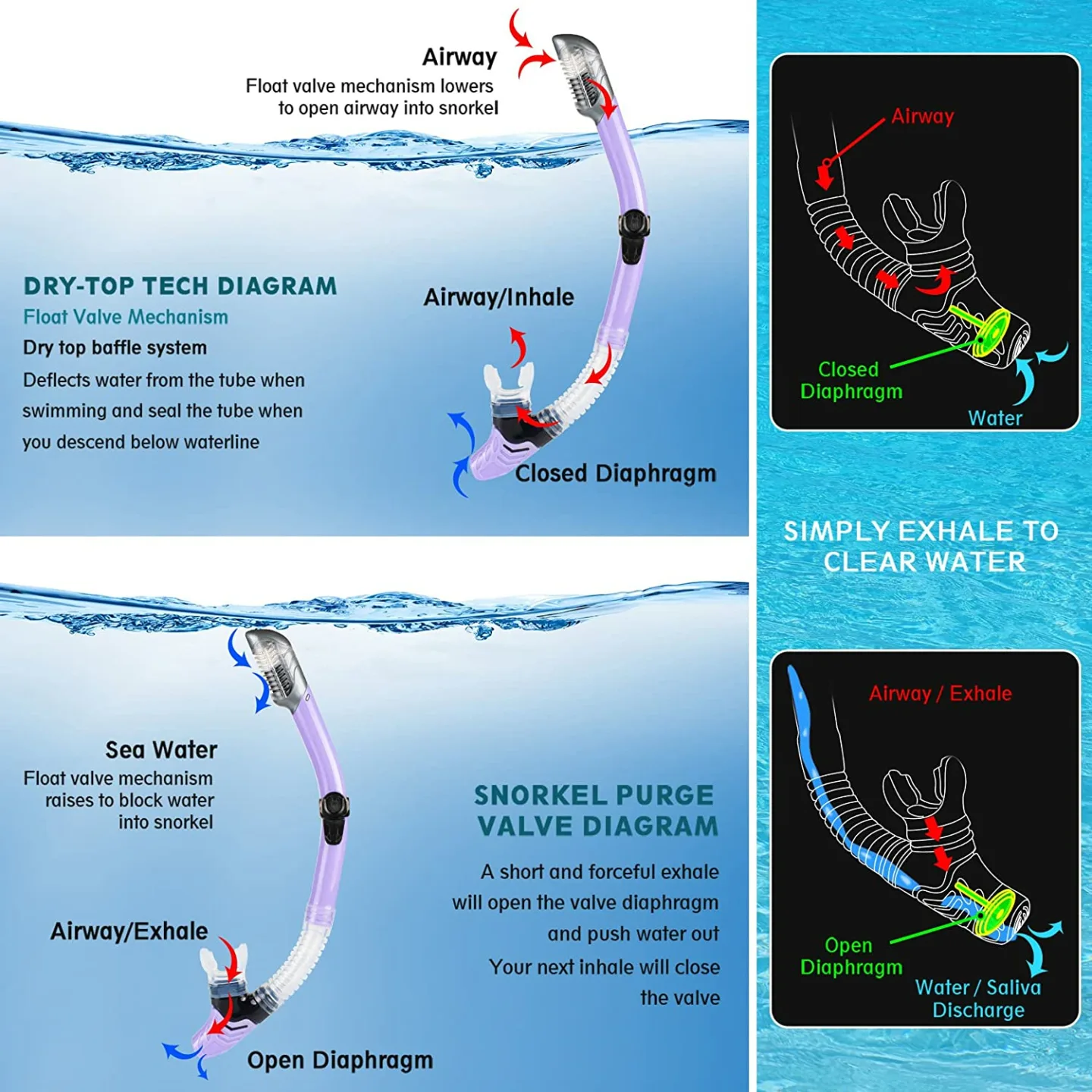 ZEEPORTE Snorkeling Set for Adults with Travel Bags