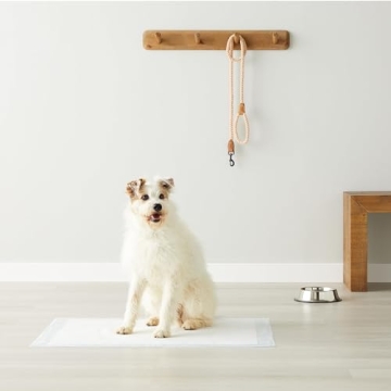 Amazon Basics Dog and Puppy Pee Pads 28x34